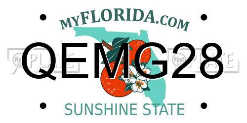 QEMG28 Florida License Plate