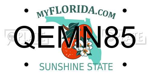 QEMN85 Florida License Plate