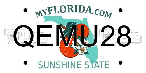 QEMU28 Florida License Plate