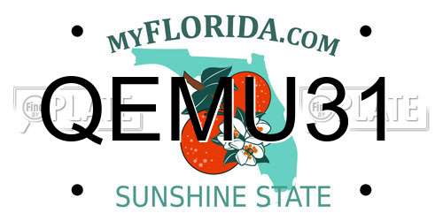 QEMU31 Florida License Plate