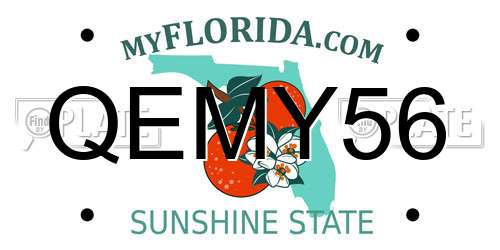 QEMY56 Florida License Plate