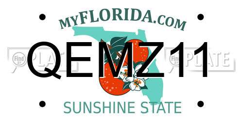 QEMZ11 Florida License Plate