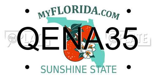 QENA35 Florida License Plate
