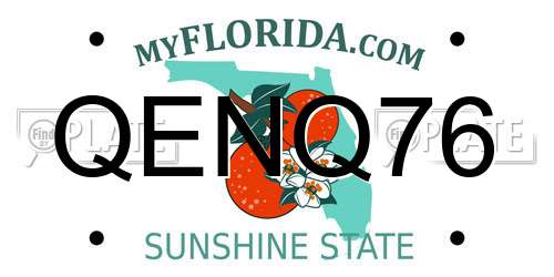 QENQ76 Florida License Plate