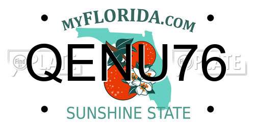 QENU76 Florida License Plate