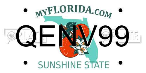 QENV99 Florida License Plate