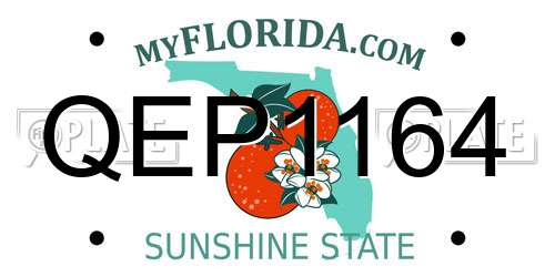 QEP1164 Florida License Plate