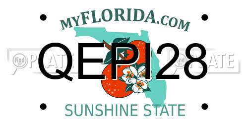 QEPI28 Florida License Plate