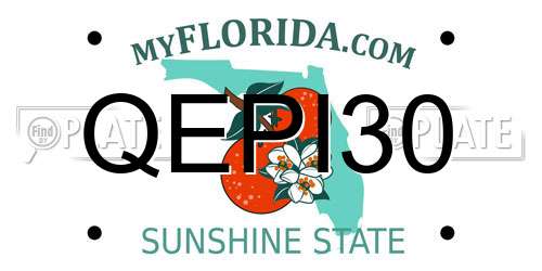 QEPI30 Florida License Plate