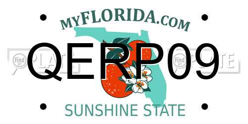 QERP09 Florida License Plate