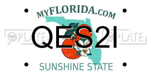 QES2I Florida License Plate