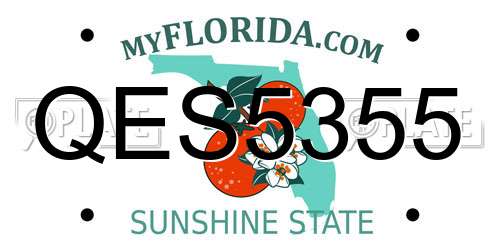 QES5355 Florida License Plate