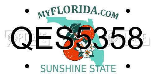 QES5358 Florida License Plate
