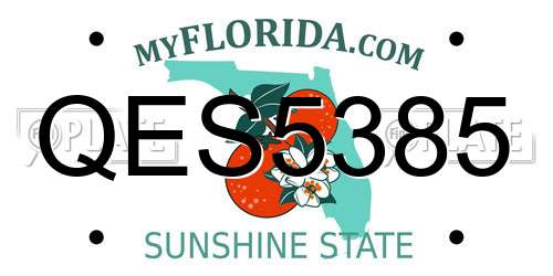 QES5385 Florida License Plate