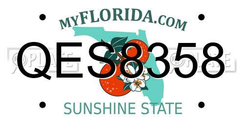 QES8358 Florida License Plate