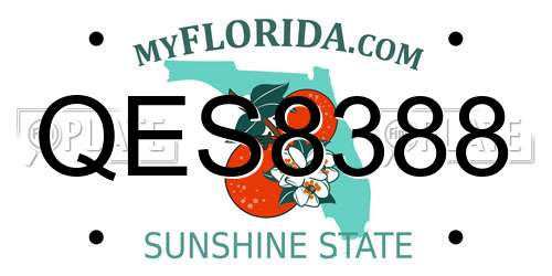 QES8388 Florida License Plate