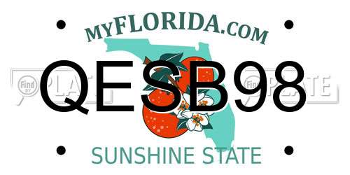QESB98 Florida License Plate