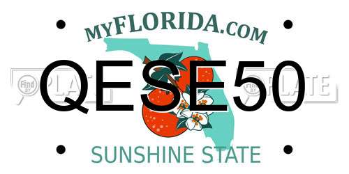 QESE50 Florida License Plate
