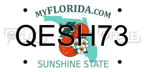 QESH73 Florida License Plate