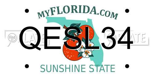 QESL34 Florida License Plate