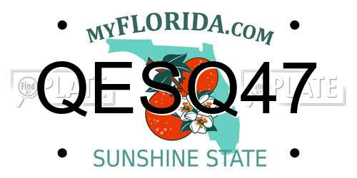 QESQ47 Florida License Plate