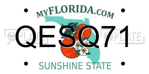 QESQ71 Florida License Plate