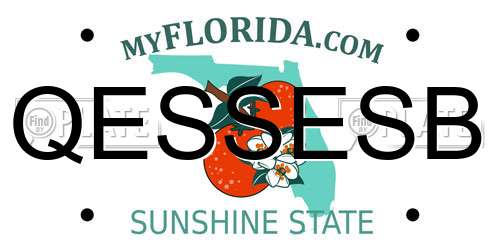 QESSESB Florida License Plate