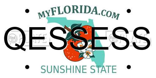QESSESS Florida License Plate