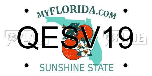 QESV19 Florida License Plate