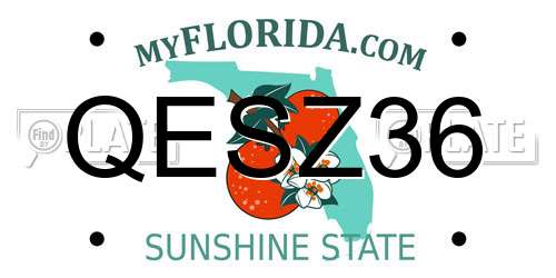 QESZ36 Florida License Plate