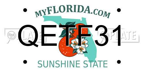 QETF31 Florida License Plate