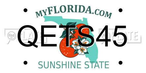 QETS45 Florida License Plate