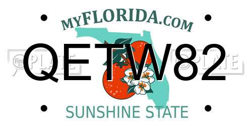 QETW82 Florida License Plate