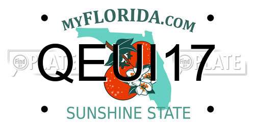 QEUI17 Florida License Plate