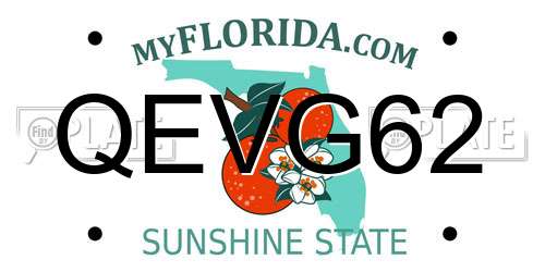 QEVG62 Florida License Plate
