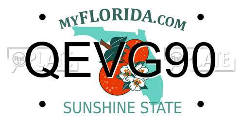 QEVG90 Florida License Plate