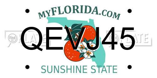QEVJ45 Florida License Plate