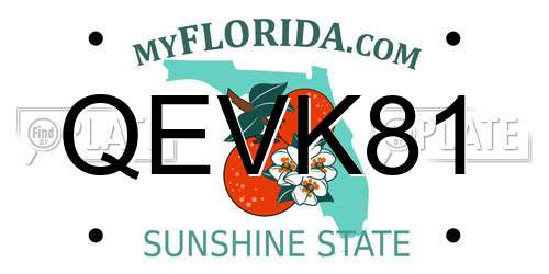 QEVK81 Florida License Plate