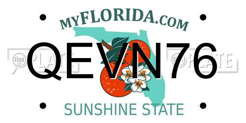 QEVN76 Florida License Plate