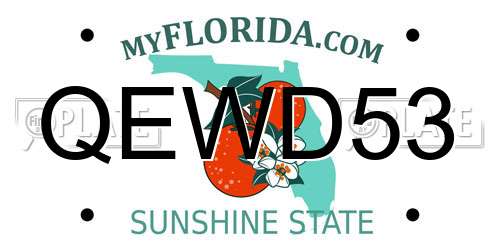 QEWD53 Florida License Plate