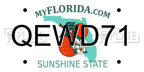 QEWD71 Florida License Plate