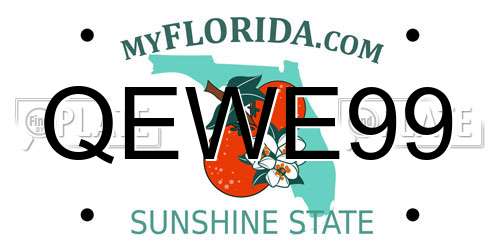 QEWE99 Florida License Plate