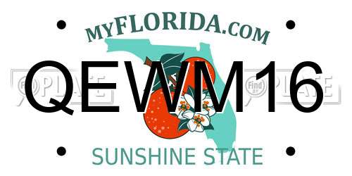 QEWM16 Florida License Plate
