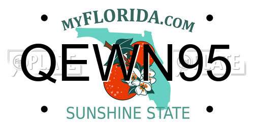 QEWN95 Florida License Plate