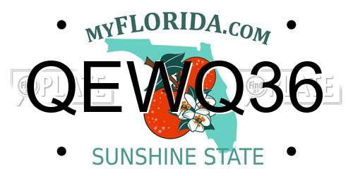 QEWQ36 Florida License Plate
