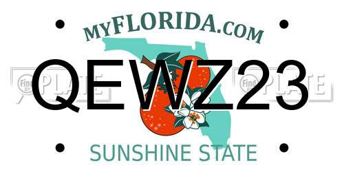 QEWZ23 Florida License Plate