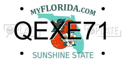 QEXE71 Florida License Plate
