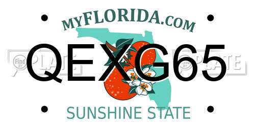 QEXG65 Florida License Plate