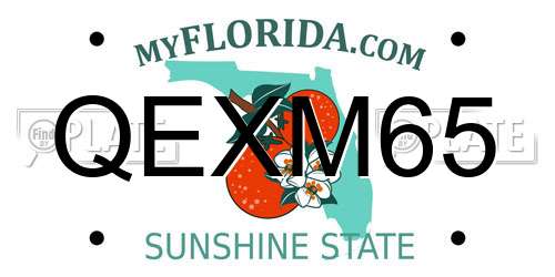 QEXM65 Florida License Plate