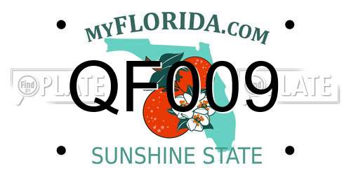 QF009 Florida License Plate